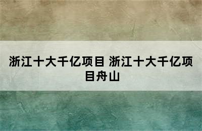 浙江十大千亿项目 浙江十大千亿项目舟山